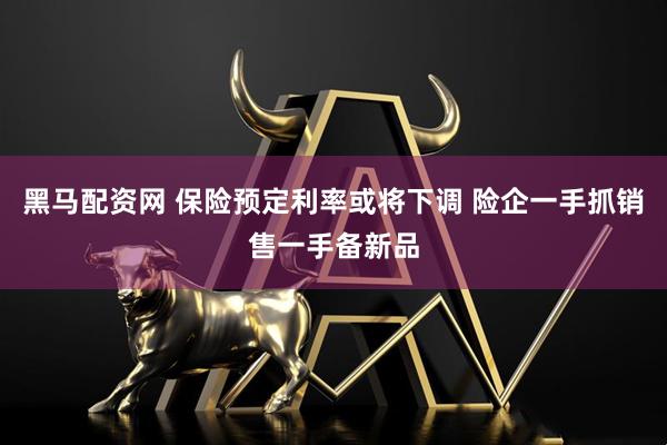 黑马配资网 保险预定利率或将下调 险企一手抓销售一手备新品