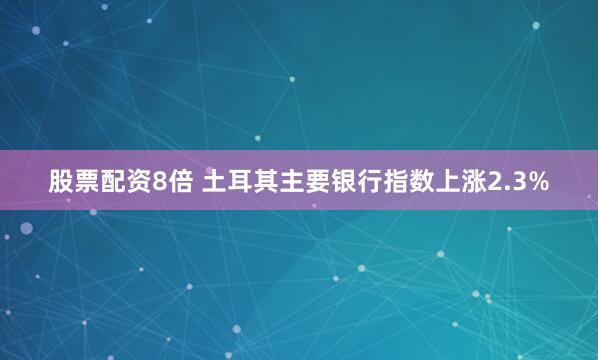 股票配资8倍 土耳其主要银行指数上涨2.3%