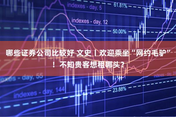 哪些证券公司比较好 文史丨欢迎乘坐“网约毛驴”！不知贵客想租哪头？